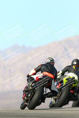 media/Jan-13-2024-SoCal Trackdays (Sat) [[9c032fe5aa]]/Turn 9 Backside (110pm)/